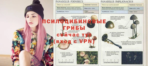 марихуана Алзамай